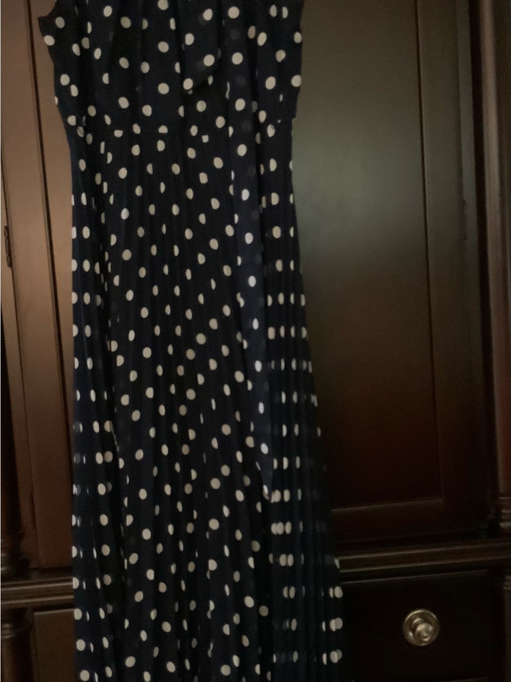 Sandra Darren Navy Blue Polka Dot Maxi Dress